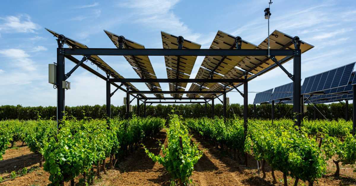 Placas solares Agricultura